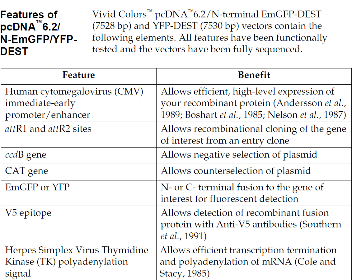 pcDNA6.2-N-EmGFP-DEST 载体特征1